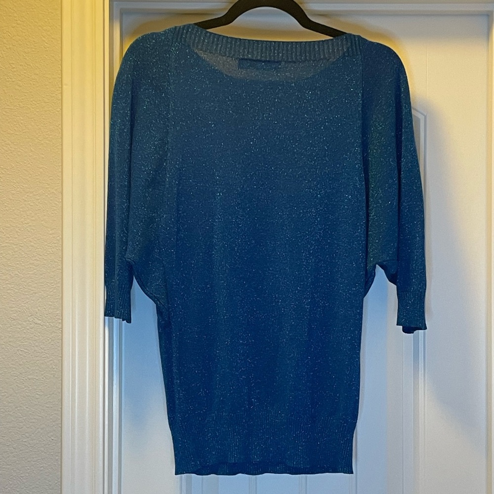 Medium Women’s Sparkly Blue New York & Company 7th Avenue Design Studio Top